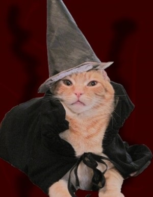 Suit pisica de Halloween (Suit) costum de pisica de Halloween