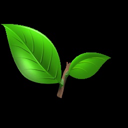 Imagini frumoase l scrisoare (scrisoare) Imagini frumoase litera l