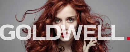Pictura «Goldwell topchic» (goldvell topshik), paleta de culori, comentarii (topchic) Pictura «Goldwell topchic» (goldvell topshik), paleta de culori, comentarii