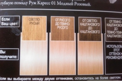 Dye L'Oreal Preference analizează avantajele și dezavantajele (vopsea) Dye L'Oreal Preference comentarii, pro și contra