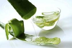 Tratarea sinuzitei aloe rapid, eficient și pentru o lungă perioadă de timp, toate sinusului (aloe) Tratarea sinuzitei aloe rapid, eficient și pentru o lungă perioadă de timp, toate sinusului