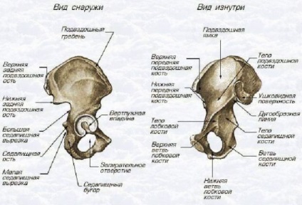 Tratamentul și consecințele ruperea osului pubian și alte pelvisului de prim ajutor (fractură pelvis) Tratamentul și consecințele ruperea osului pubian si alte pelvisului prim ajutor