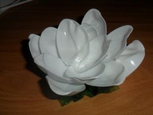 Lily tăvi de plastic (platouri) Lily linguri de plastic