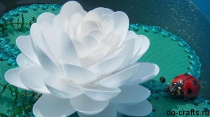 Lily linguri de plastic cu mâinile lor 1 (crin linguri de plastic) Lily linguri de plastic cu mâinile lor 1