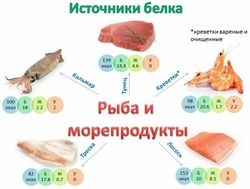 Cele mai multe alimente bogate in proteine intr-o dieta culturism (culturism) Cele mai multe alimente bogate in proteine din dieta unui culturist