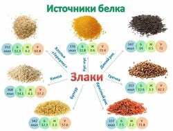 Cele mai multe alimente bogate in proteine din dieta unui culturist (edita pește, fructe de mare) Cele mai multe alimente bogate in proteine din dieta unui culturist