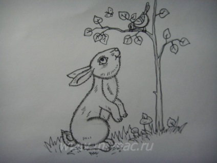 Depinde de pagina mea - interese, creativitate, hobby-uri - cum să învețe un copil să atragă un iepuras (pagina) Depinde de pagina mea - interese, creativitate, hobby-uri - cum să învețe un copil să atragă un iepuras