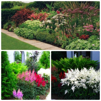 Mixbordere de plante perene (decor principal din gradina ta) Mixborders de plante perene