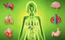 Produse diuretice (diuretice) (diuretice) Produse diuretici (diuretice)