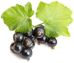 Produse diuretici (diuretice) (produse) Produse diuretici (diuretice)