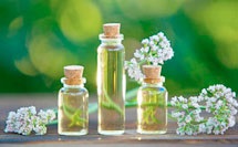 Produse diuretice (diuretice) (diuretice) Produse diuretici (diuretice)