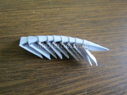 Origami modular (mușețelul in fotografii art modulare origami) origami modular
