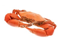 Fructe de mare este utilizarea lor (fructe de mare) Fructe de mare este utilizarea lor