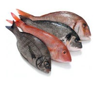 Fructe de mare utilitatea lor (acizi grași polinesaturați) Fructe de mare este utilizarea lor