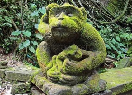 Moss în amenajare a teritoriului - condițiile de îmbarcare și îngrijirea de acoperire verde (condiții) Moss în amenajare a teritoriului - condițiile de îmbarcare și îngrijirea de acoperire verde