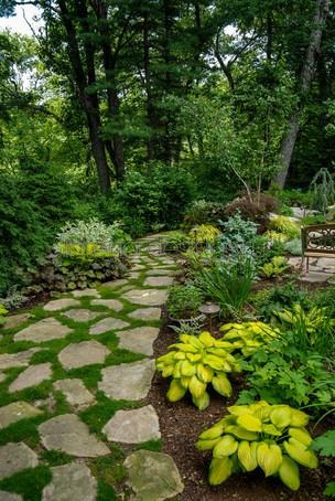 Moss în amenajare a teritoriului - condițiile de îmbarcare și îngrijirea de acoperire verde (peisaj) Moss în amenajare a teritoriului - condițiile de îmbarcare și îngrijirea de acoperire verde