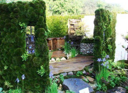 Moss în amenajare a teritoriului - condițiile de îmbarcare și îngrijirea de acoperire verde (drop-off) Moss în amenajare a teritoriului - condițiile de îmbarcare și îngrijirea de acoperire verde
