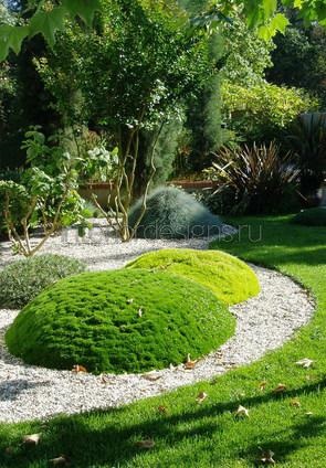 Moss în amenajare a teritoriului - condițiile de îmbarcare și îngrijirea de acoperire verde (proiectare) Moss în amenajare a teritoriului - condițiile de îmbarcare și îngrijirea de acoperire verde