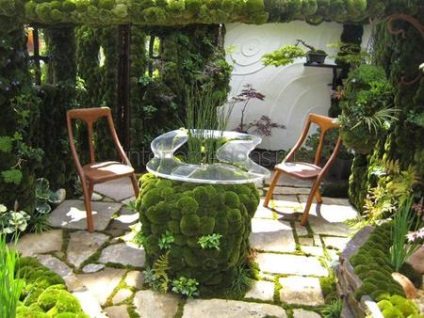 Moss în amenajare a teritoriului - condițiile de îmbarcare și îngrijirea de acoperire verde (de îngrijire) Moss în amenajare a teritoriului - condițiile de îmbarcare și îngrijirea de acoperire verde