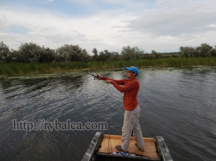 bobina Multiplicatorul (eliberare bobină degetul) tambur Multiplicator
