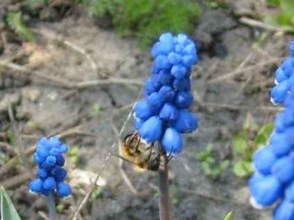Cât de mult ai lăsat pe natura (natura) Cât de mult ai lăsat pe natura