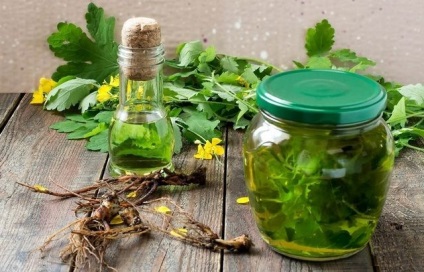 vodca rostopască tinctura si consumul de alcool, retete, tratament suc extract alcoolic și (alcool) Tinctura rostopască pe vodca si consumul de alcool, retetele, tratamentul unui extract de alcool, suc și