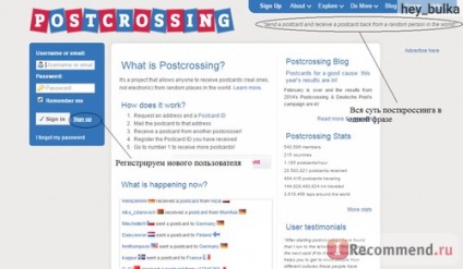 Site-ul de navigare ( „Profil“ Figura Desen) Site-ul de navigare
