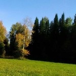 cotelor de teren nerevendicate (acțiuni) cotelor de teren nerevendicate