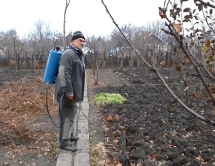 Lucrările solului în toamna dăunătorilor și bolilor (boli) Lucrările solului în toamna dăunătorilor și bolilor