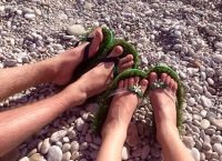 Pantofi pentru plaja cu pietriș (plajă) Pantofi pentru plaja cu pietriș