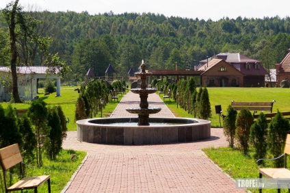 Organizarea și nunți desfășurarea, înregistrarea căsătoriei în țară, în conac, cabana, țară (nunti) Organizarea și nunți desfășurarea, înregistrarea căsătoriei în țară, în conac, cabana, țară