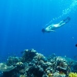 Elemente de bază subacvatice, trucuri simple (submarine) Bazele de fotografie subacvatice trucuri simple