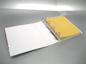 Crown dosar (folder) dosar coroana