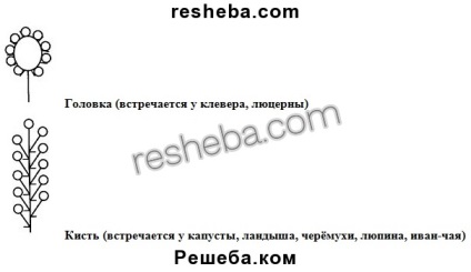 Punctul 12 (obiectiv) punctul 12