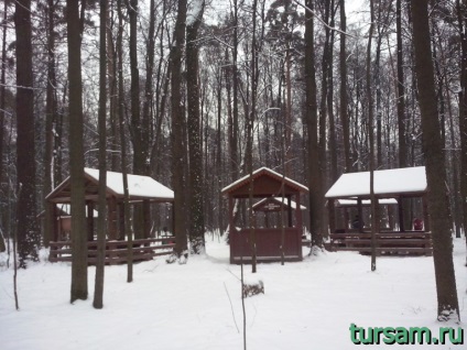 fotografii Park Pokrovskoie-Streshnevo, atractii, adresa, cum se ajunge la parc (parc Pokrovskoie Streshnevo de primăvară) fotografii Park Pokrovskoie-Streshnevo, atractii, adresa, cum se ajunge la parc