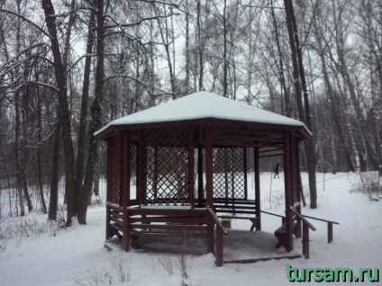 fotografii Park Pokrovskoie-Streshnevo, atractii, adresa, cum se ajunge la parc (parc Pokrovskoie Streshnevo de primăvară) fotografii Park Pokrovskoie-Streshnevo, atractii, adresa, cum se ajunge la parc