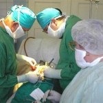 Transplantul de pancreas in raspunsurile de diabet (transplant pancreatic) Transplantul de pancreas in comentarii diabet