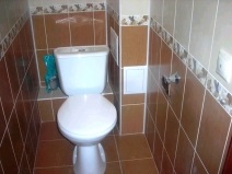 Dale pentru WC (21 poze), gresie WC asieta place să pună gresie în baie (foto) Dale pentru WC (21 poze), gresie WC asieta place să pună gresie în baie