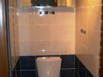 Dale pentru WC (21 poze), gresie WC asieta place să pună gresie în baie (WC) Dale pentru WC (21 poze), gresie WC asieta place să pună gresie în baie