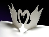 cadou Origami (cadou) cadou origami