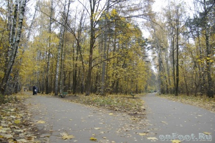 Mijlocirea - Park streshnevsky