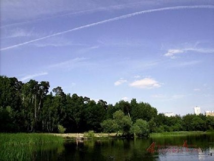 Mijlocirea - Park streshnevsky