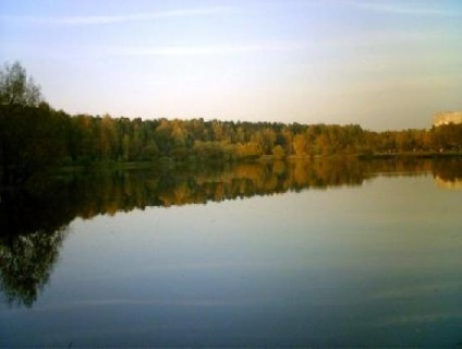 Mijlocirea - Park streshnevsky