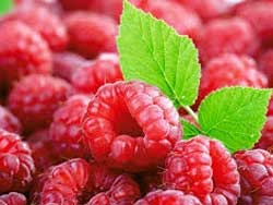 Berry Beneficii - o componentă importantă a produselor alimentare sănătoase (importante) Berry Beneficii - o componentă importantă a produselor alimentare sănătoase