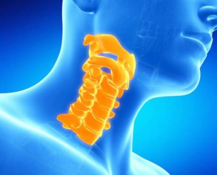 Cotorul structurii umane (schema), coloanei vertebrale și funcțiile (umane) Cotorul structurii umane (schema), coloanei vertebrale și funcțiile