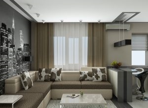 Design propriu al unui apartament cu o cameră de 30 de metri pătrați (o singură cameră) Design propriu al unui apartament cu o cameră de 30 de metri pătrați