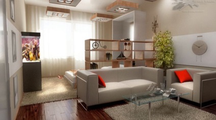 Design propriu al unui apartament cu o cameră de 30 de metri pătrați (studio de design) Design propriu al unui apartament cu o cameră de 30 de metri pătrați