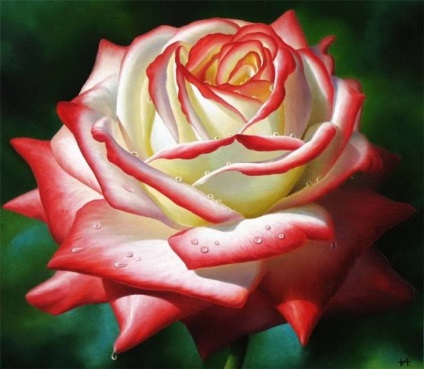 pictura Lovely Rose (aroma de fiecare culoare) Frumos trandafiri în pictură