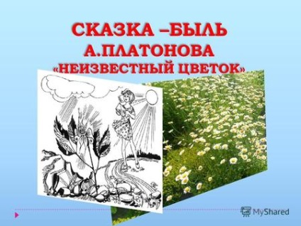 Prezentări pe tema - flori (pasăre floare floare) Prezentări pe tema - flori