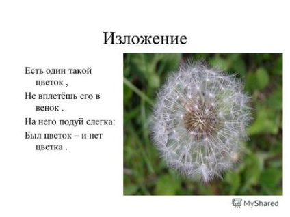 Prezentări pe tema - o floare ( „floare structura funcției de flori) Prezentări pe tema - flori